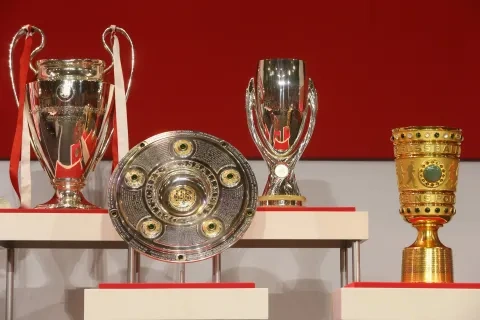 كؤوس بايرن ميوينخ في 2013