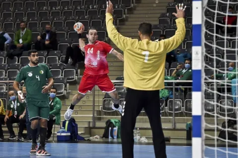 منتخب الجزائر لكرة اليد