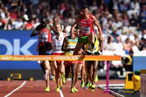 المغربي سفيان بقالي