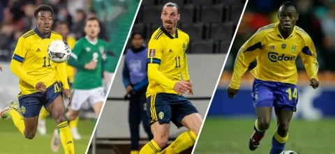 إبراهيموفيتش وعائلة إيلانغا