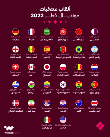 ألقاب المنتخب المشاركة في نهائيات كأس العالم قطر 2022 (winwin)