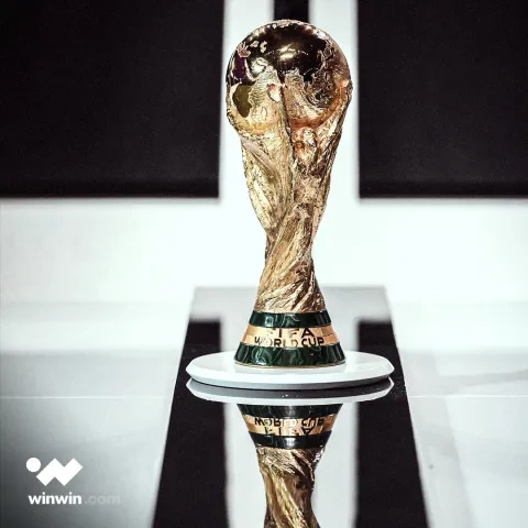 تغطية winwin لكاس العالم