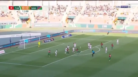 عرضيات منتخب ناميبيا