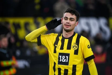 جيوفاني رينا