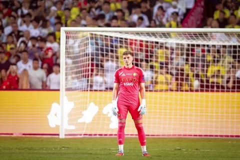 الحارس البرازيلي بينتو ماثيوس (Getty)